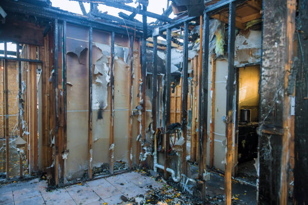 Professional Fire Damage Removal technician working in Three Oaks, FL